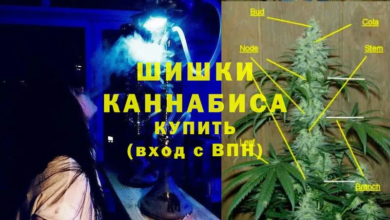 Шишки марихуана OG Kush  где купить наркоту  Билибино 